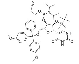5'-O-(4,4'-Dimethoxytrityl)-2'-O-(t-butyldimethylsilyl)-Pseudouridine-3'-cyanoethylPhosphoramidite
